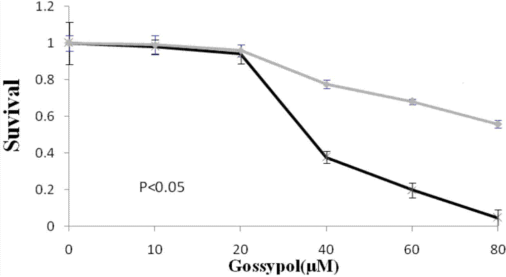 Novel application of gossypol