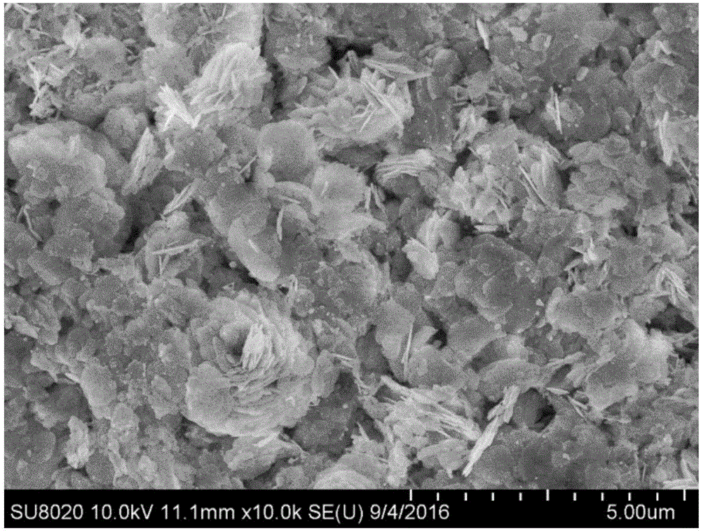 Gold-bismuth oxychloride nano composite material and preparation method thereof