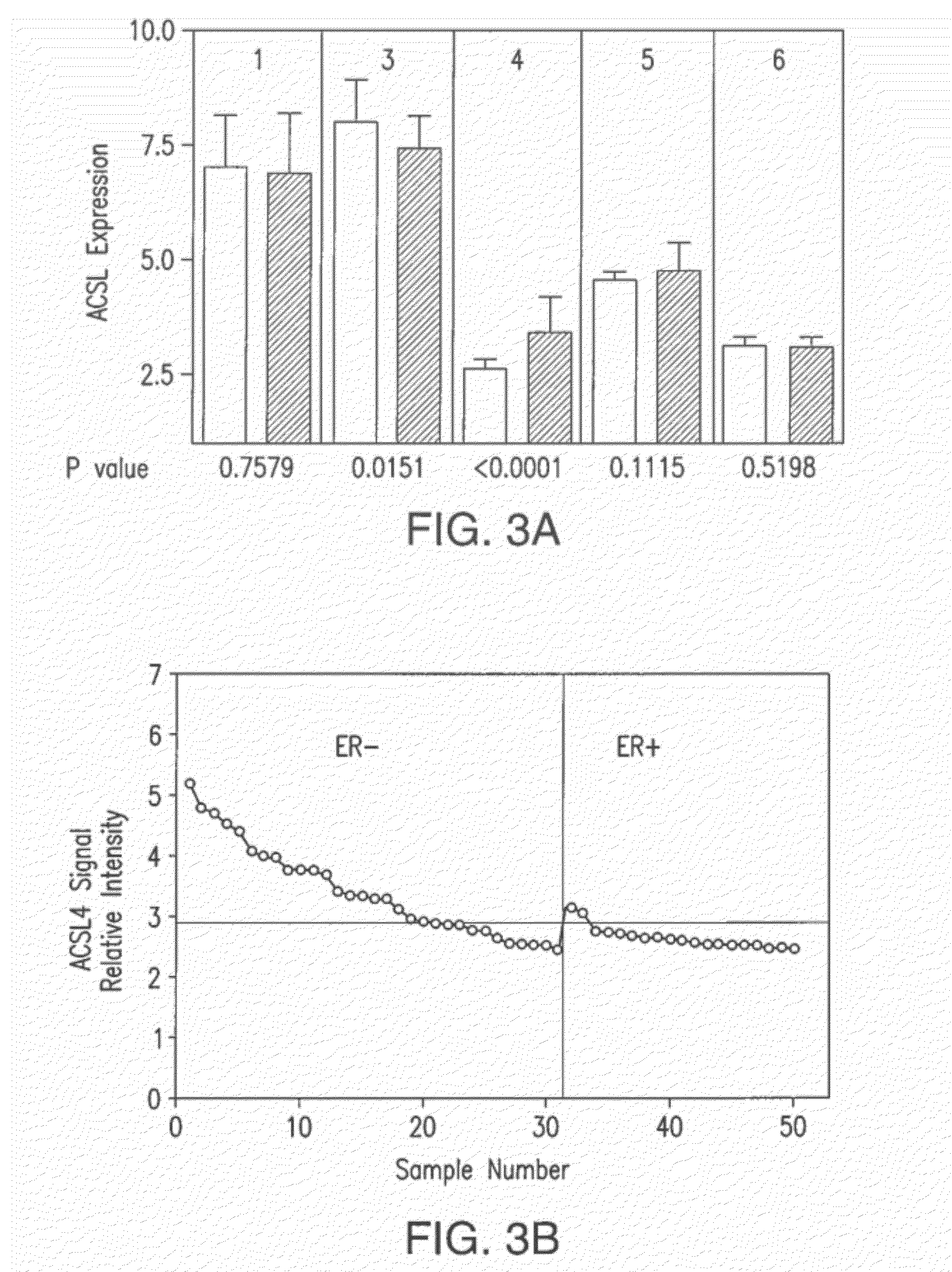 Methods and compositions for determining the responsiveness of cancer therapeutics