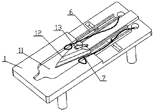 Assistance device for splitting chicken to be roasted