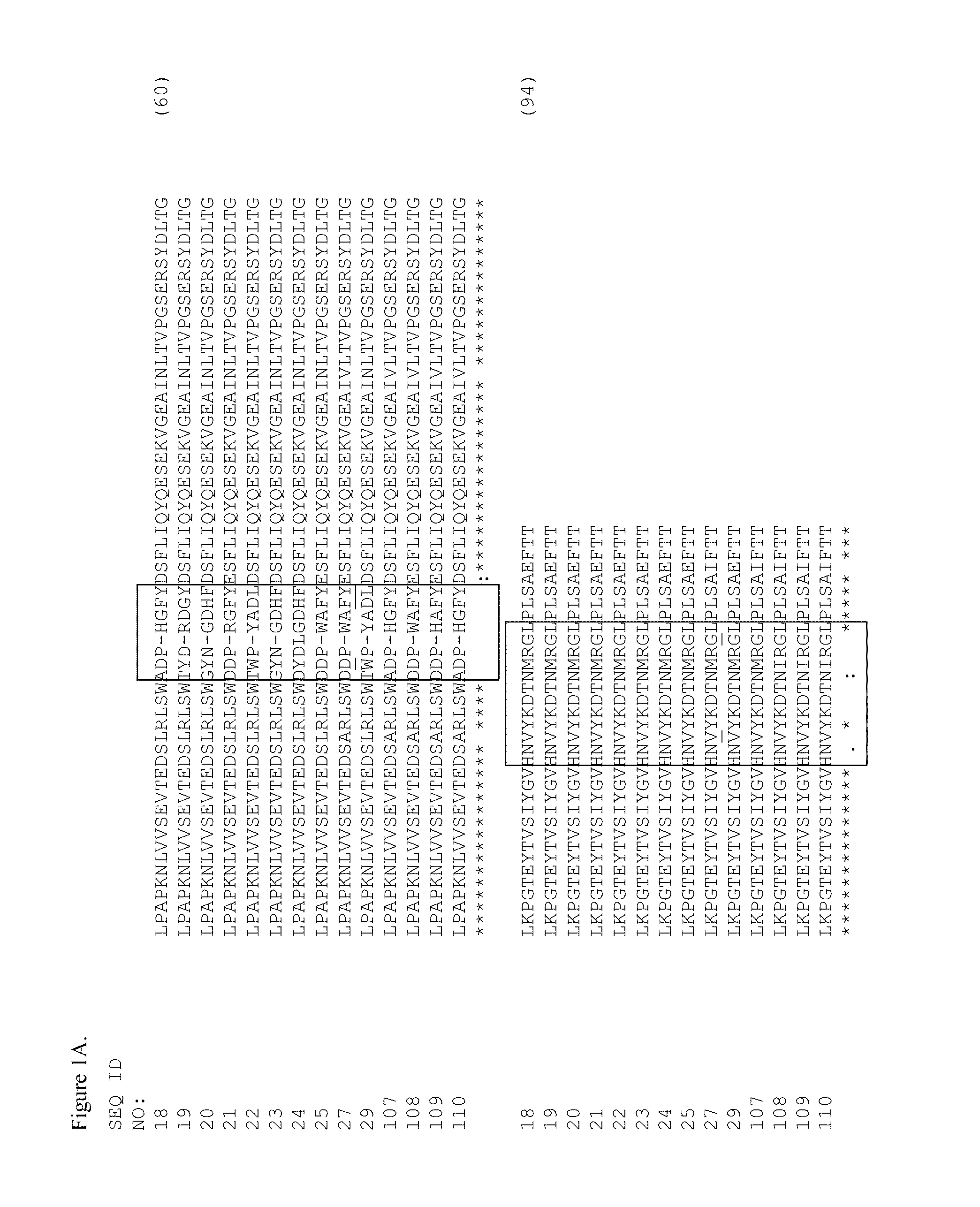 EGFR and c-met fibronectin type iii domain binding molecules