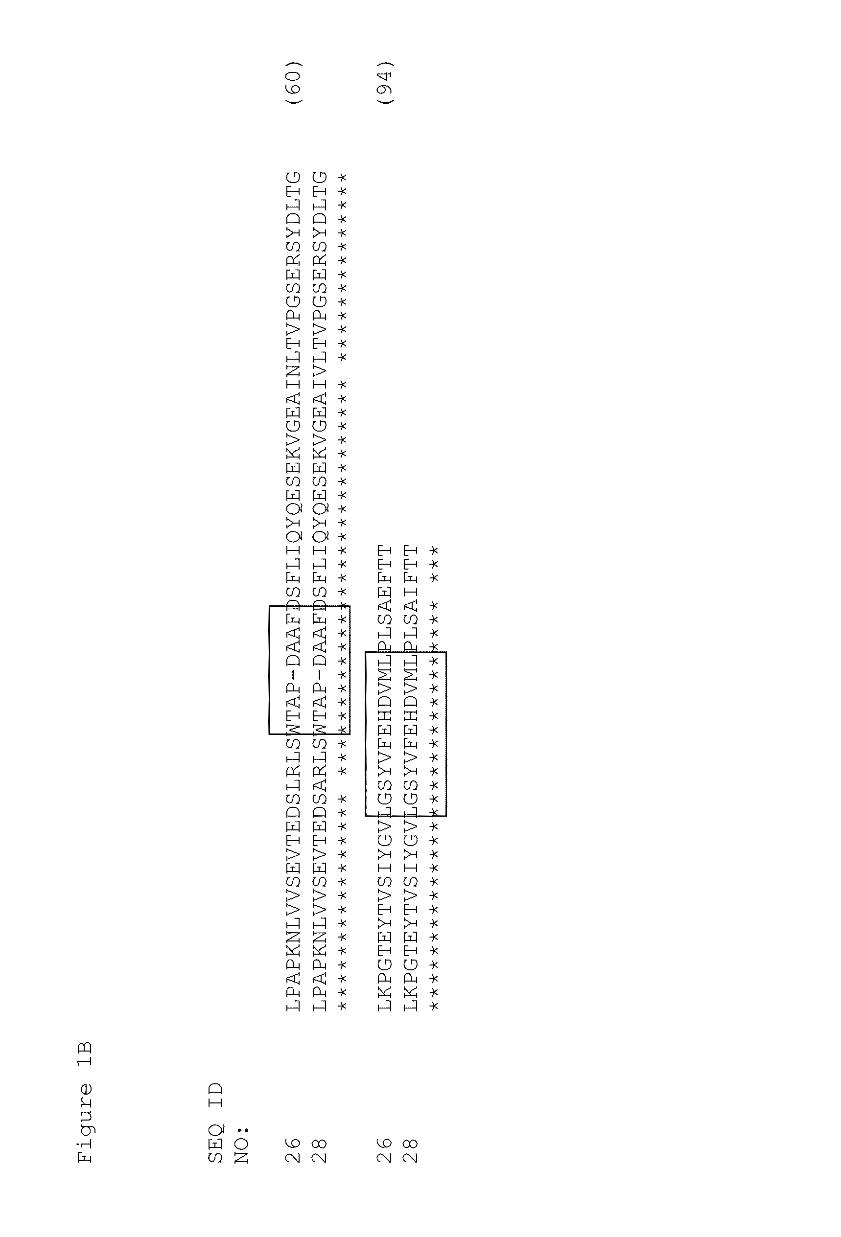 EGFR and c-met fibronectin type iii domain binding molecules