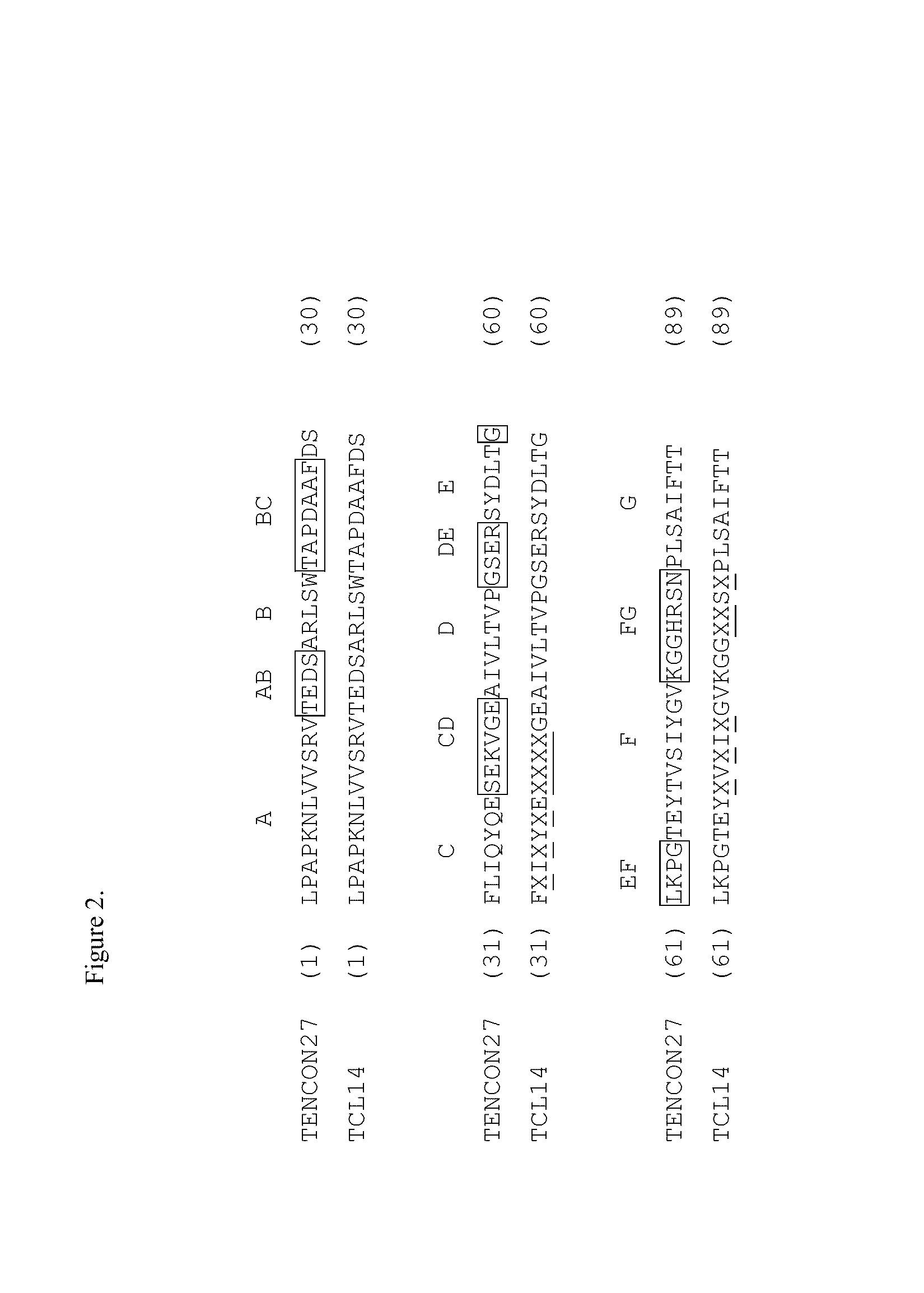 EGFR and c-met fibronectin type iii domain binding molecules