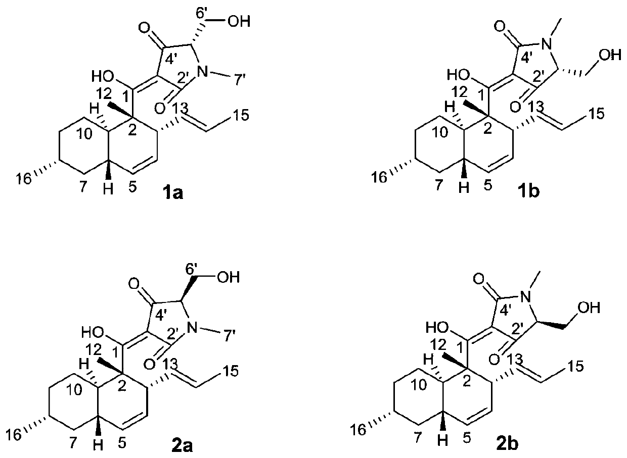 Application of equisetin compound in resisting tobacco brown spot and extraction method of equisetin compound