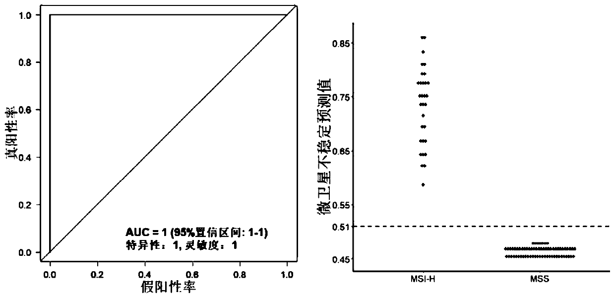 Microsatellite instability prediction method and application thereof