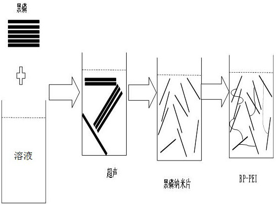 Carbon dioxide sensor for monitoring microbial growth and preparation method thereof