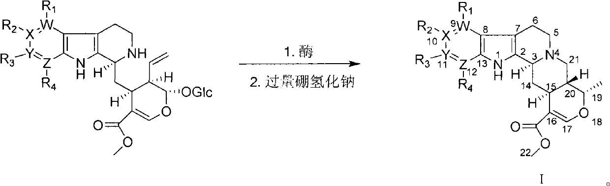 Raubasine derivative, preparation and application thereof