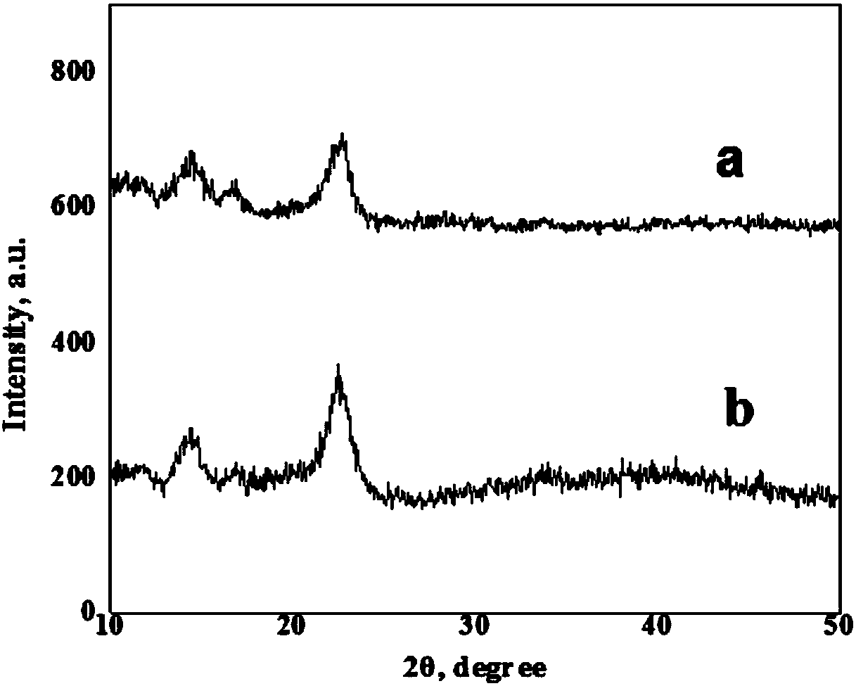 Method for preparing porous bacterial cellulose membrane