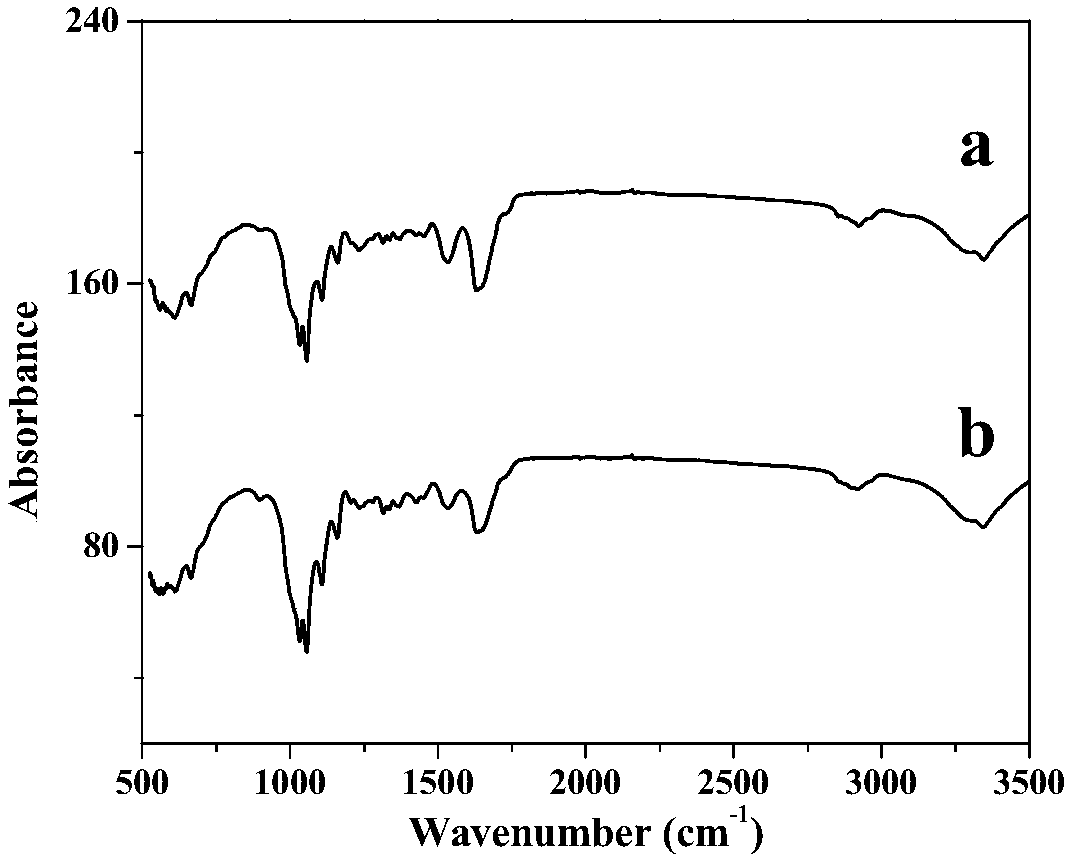 Method for preparing porous bacterial cellulose membrane