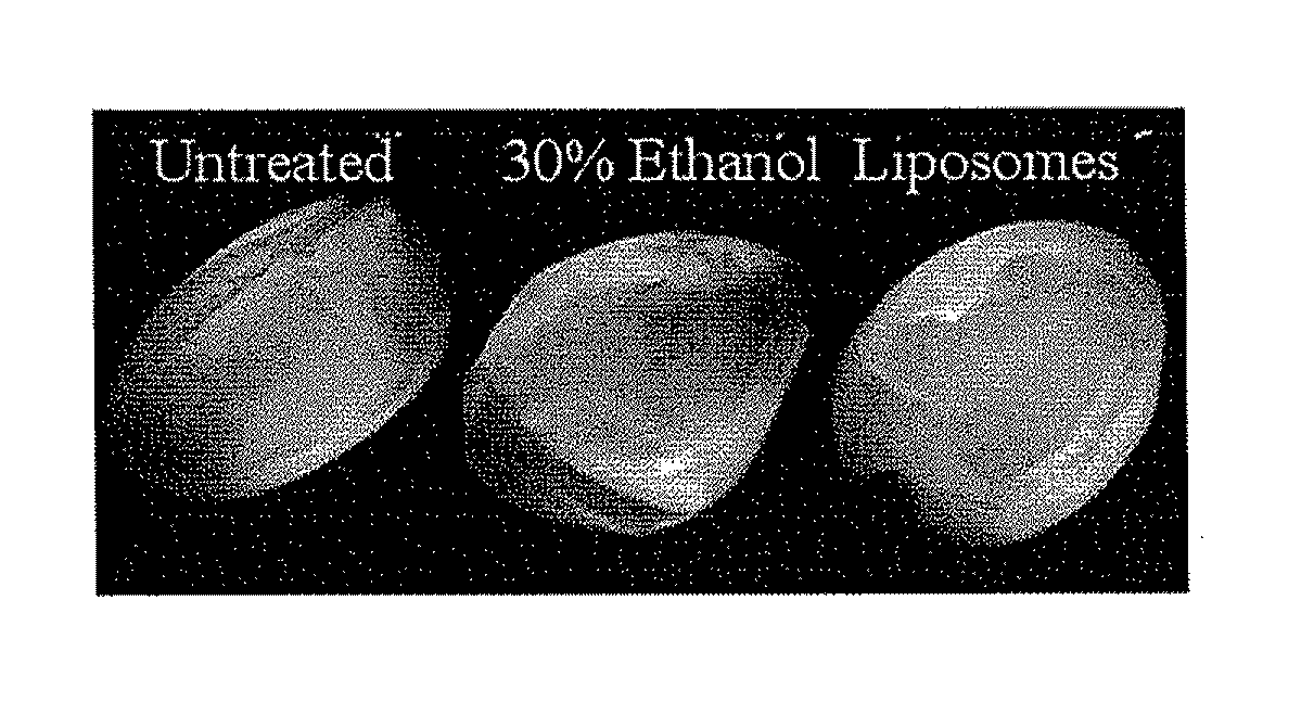 Instillation of liposomal formulation of sirna and antisense oligonucleotides