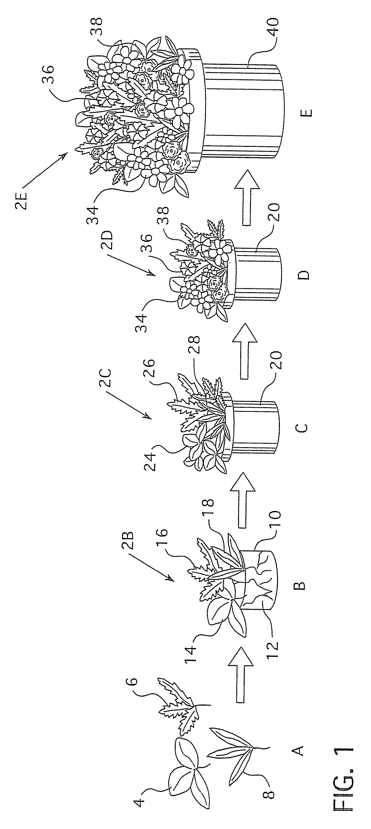 Method of producing a horticultural display