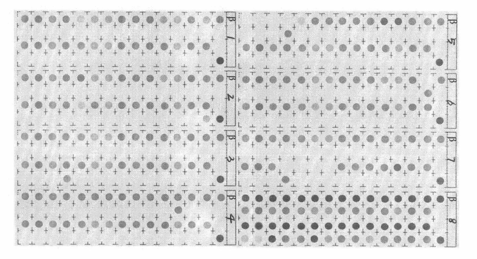 Beta-thalassemia mutation detection kit