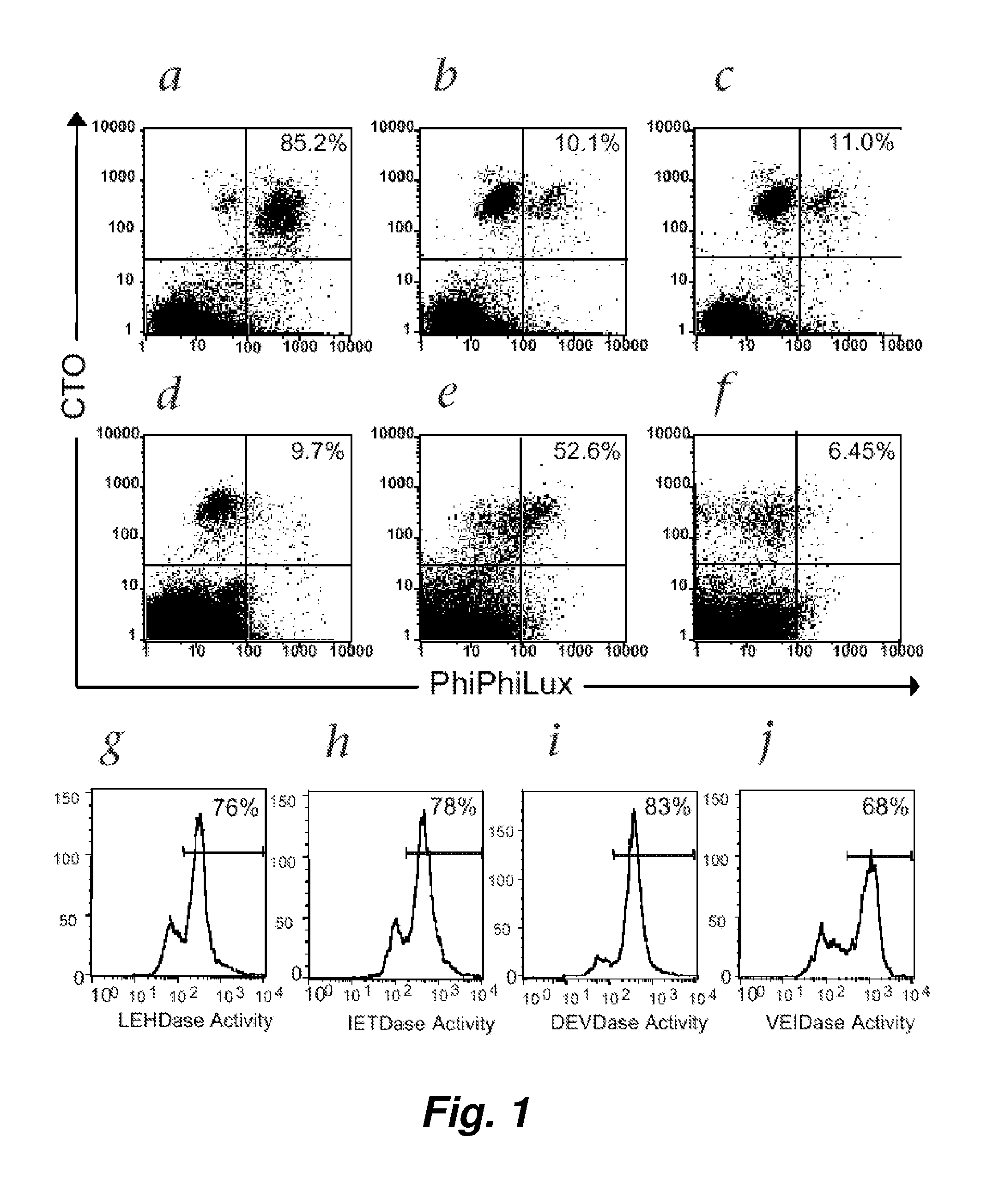 Visualization and quantitiation of cellular cytotoxicity using cell-permeable fluorogenic protease substrates and caspase activity indicator markers