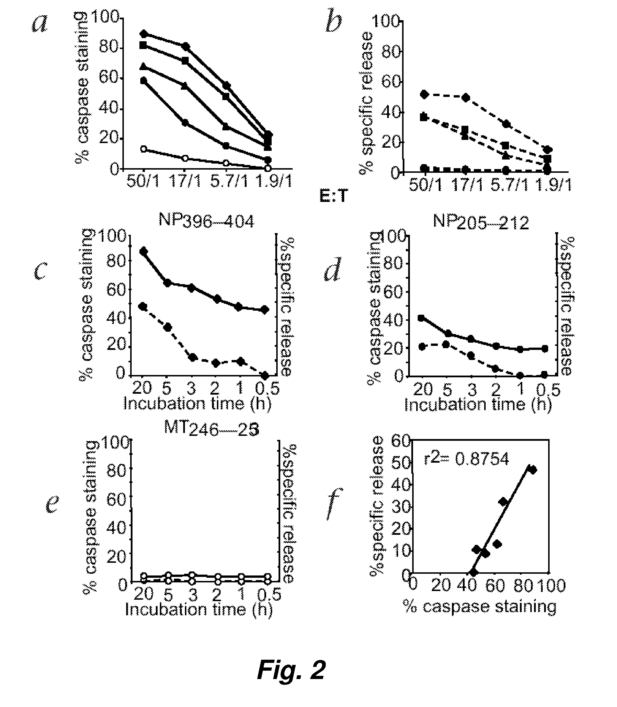 Visualization and quantitiation of cellular cytotoxicity using cell-permeable fluorogenic protease substrates and caspase activity indicator markers