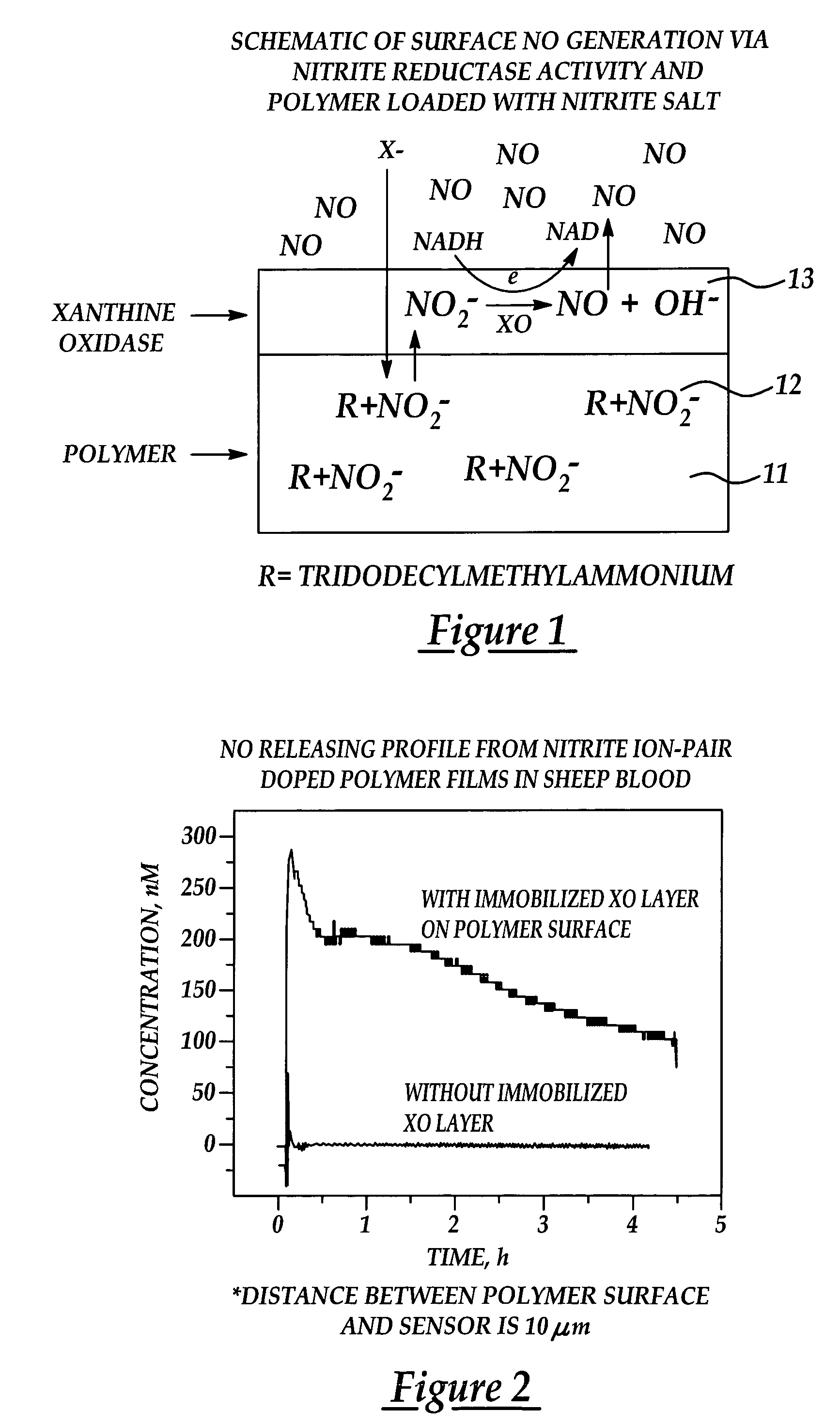 Generation of nitric oxide in vivo from nitrite, nitrate or nitrosothiols endogenous in blood