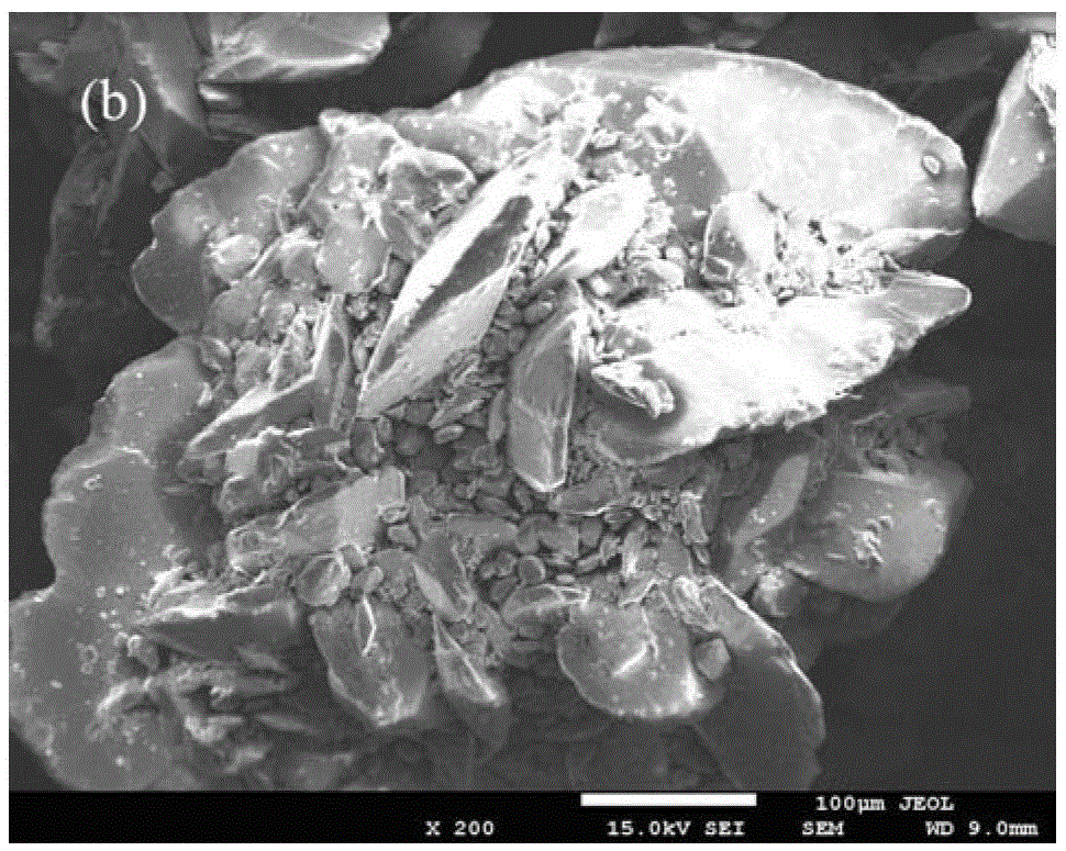 Molybdenum powder for ceramic metallization and preparation method thereof