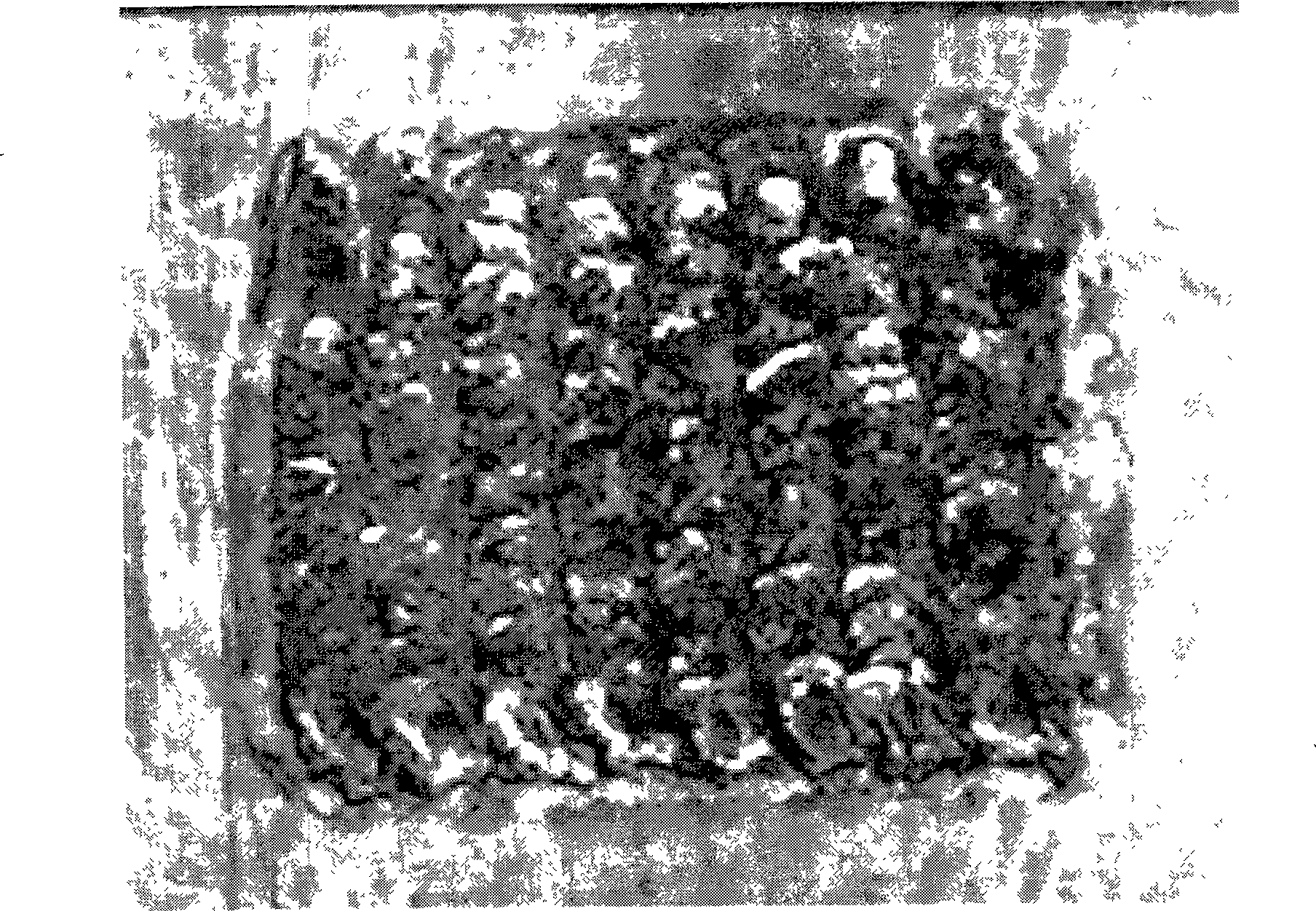 Method using laser quick forming producing HA/Ti gradient biological activity material