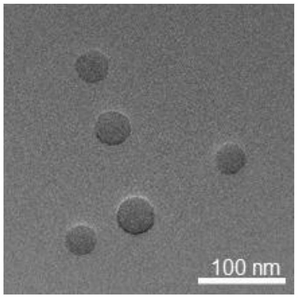 A kind of iron/shikonin nanocomposite, preparation method of its supramolecular self-assembly and application of the nanocomposite