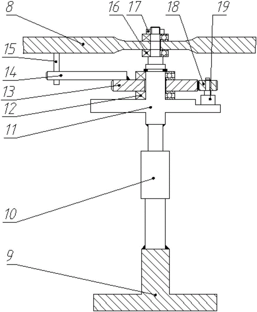 Flexible quadruped robot