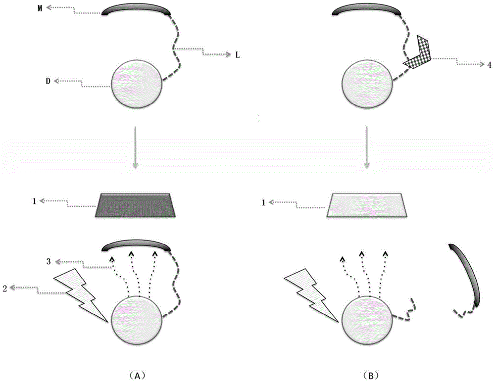 Quality test method of blood sample containing erythrocyte, and test kit