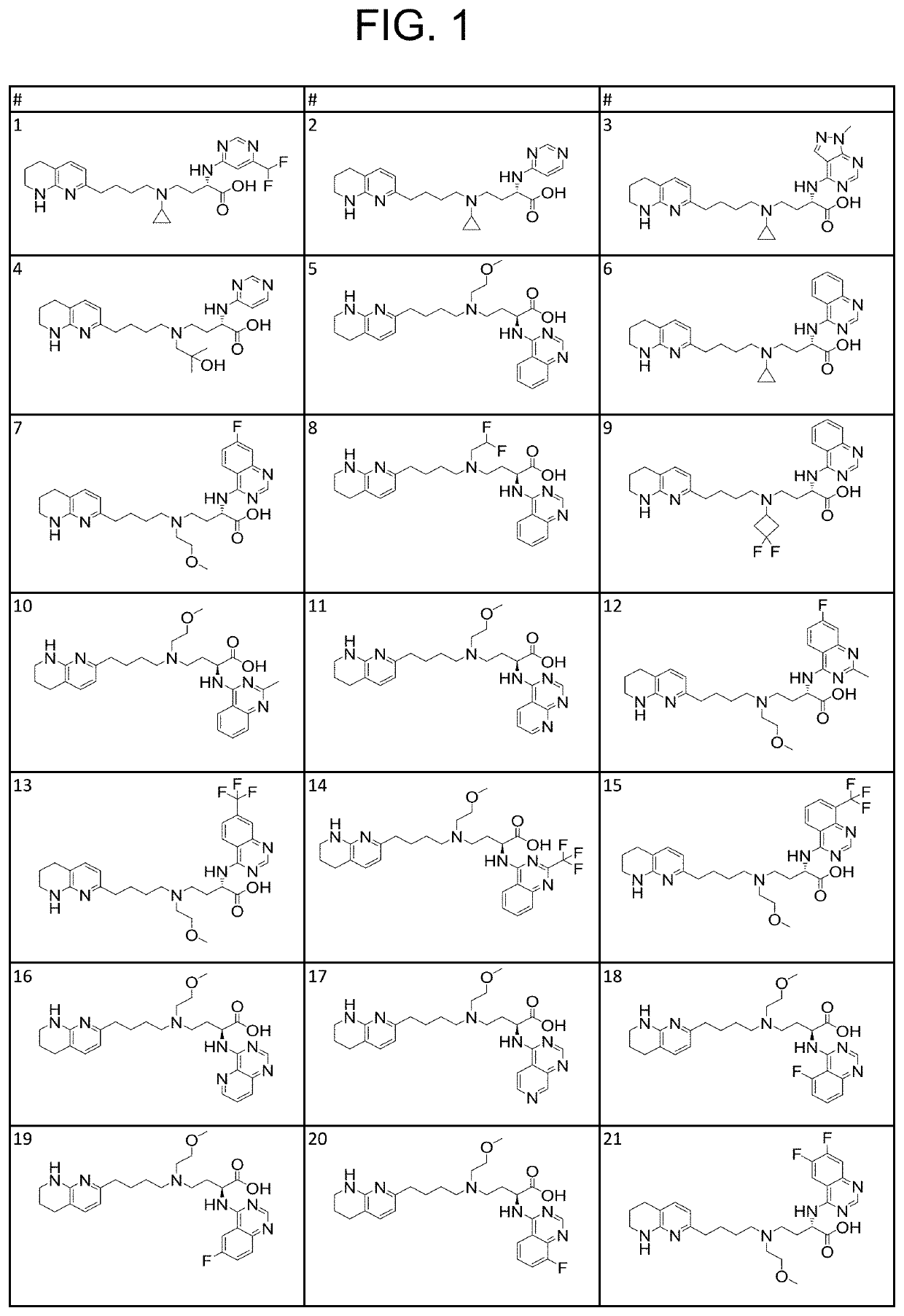 Amino acid compounds and methods of use