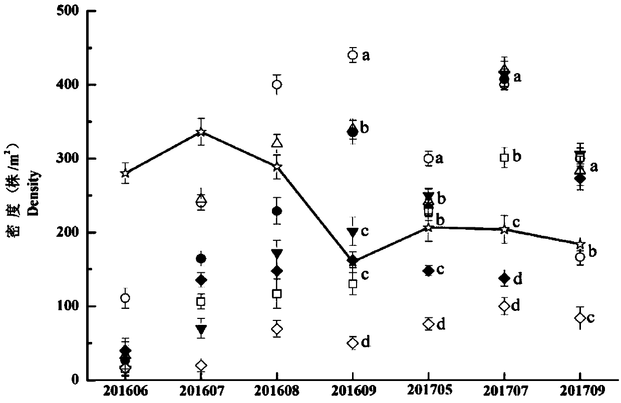 Eelgrass donor plant collection and transplanting method