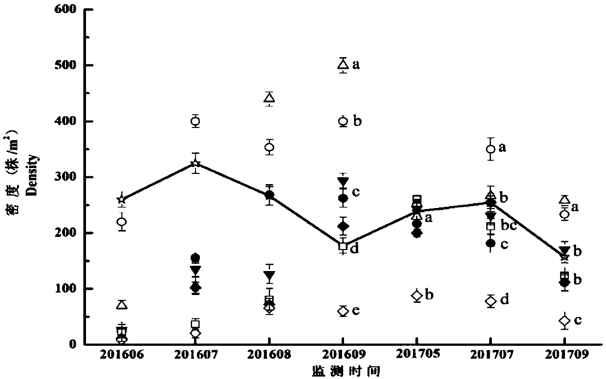 Eelgrass donor plant collection and transplanting method