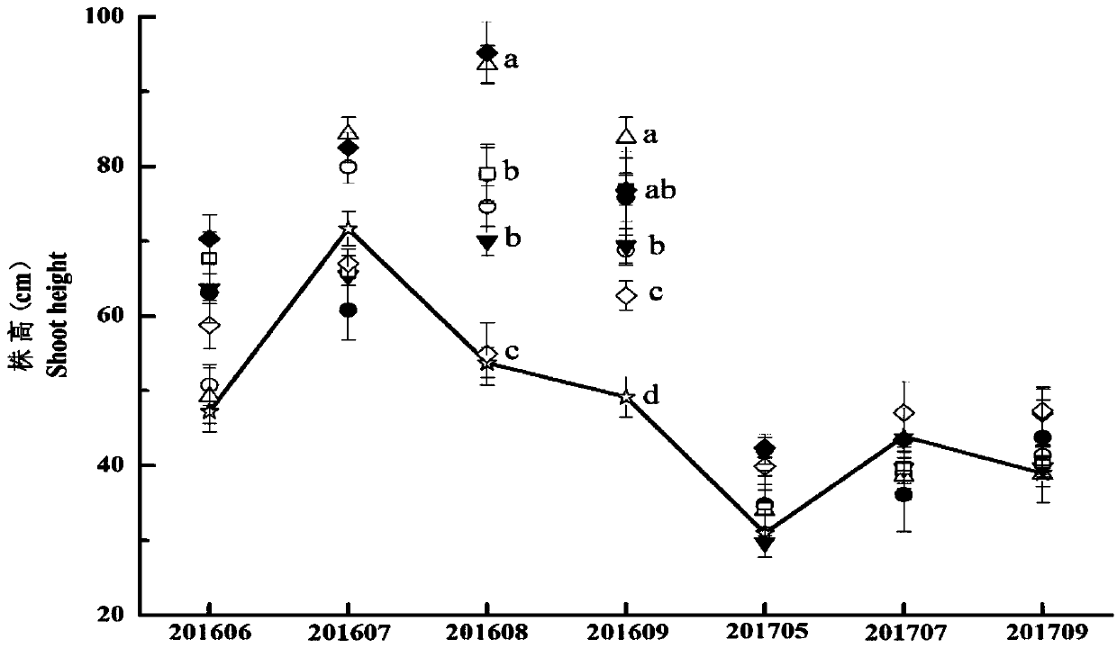 Eelgrass donor plant collection and transplanting method