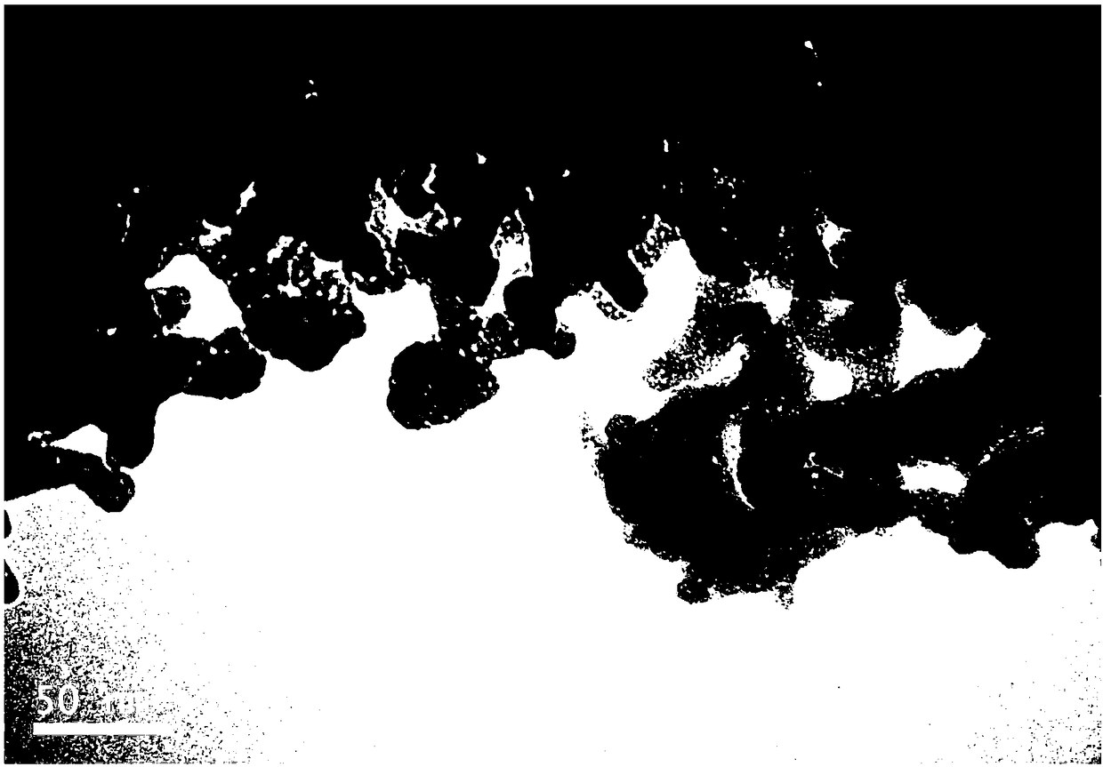 Traditional Chinese medicinal nano-drug as well as preparation method and application thereof