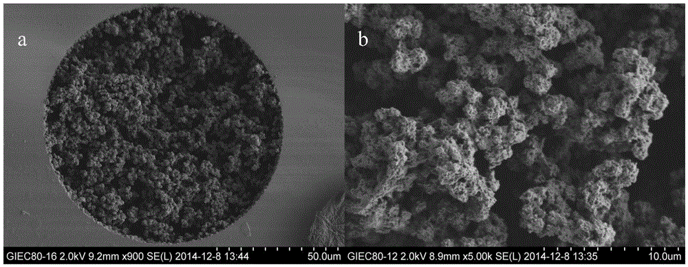 Bionic double-chain phospholipid film monolithic column, and making method and application thereof