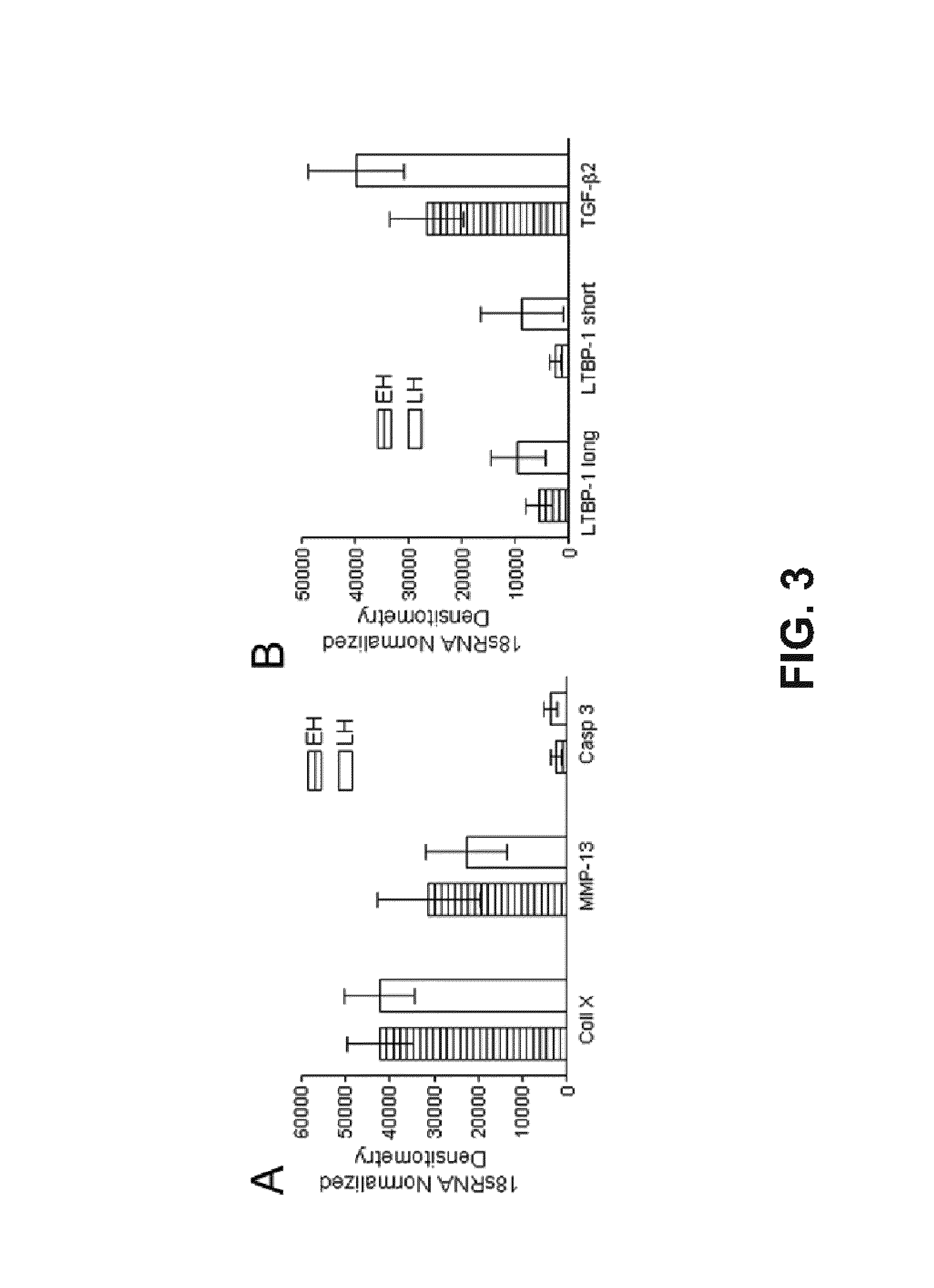 Compositions and methods for inhibition of MMP13:MMP-substrate interactions