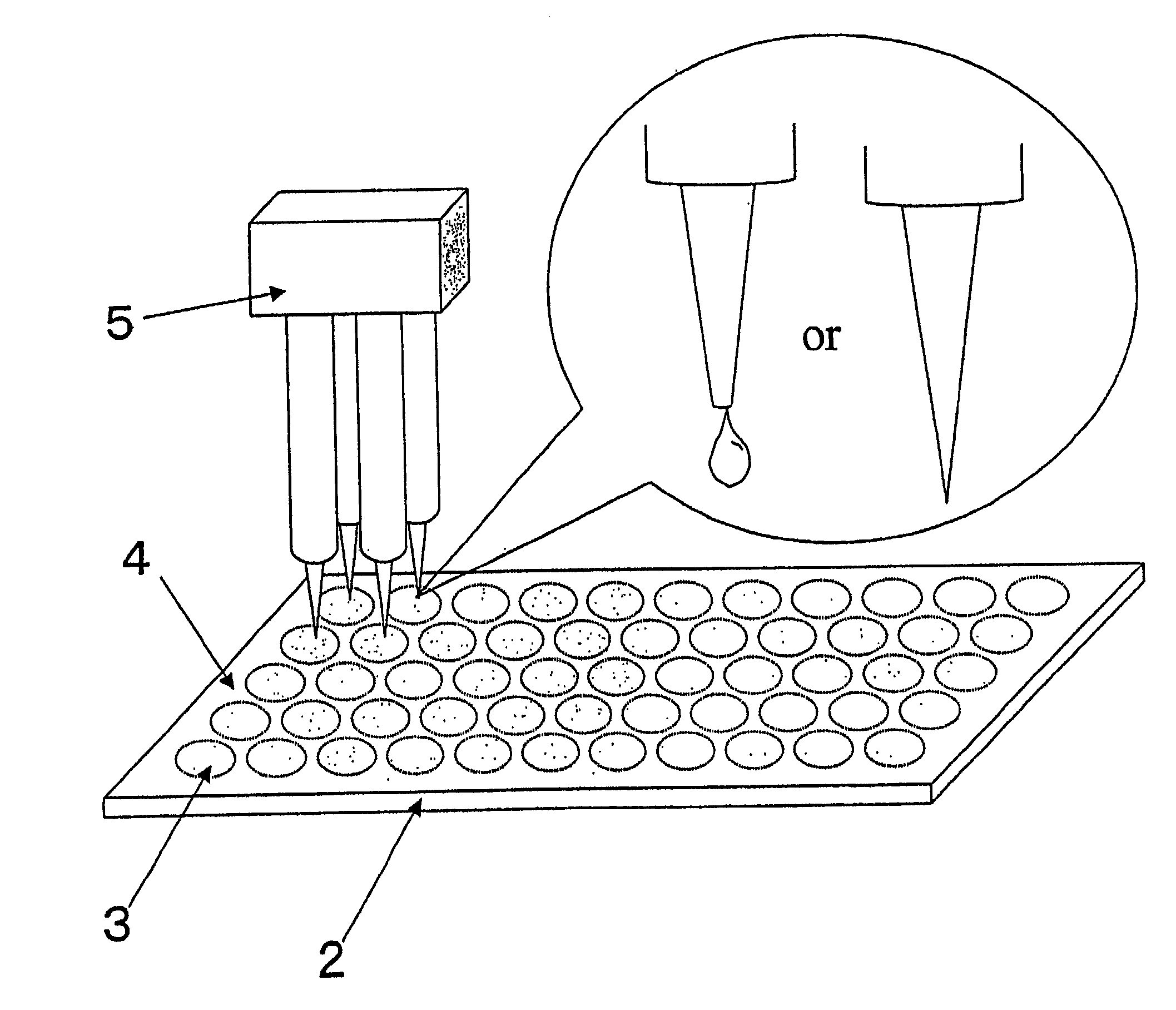 Microarray and microarray substrate