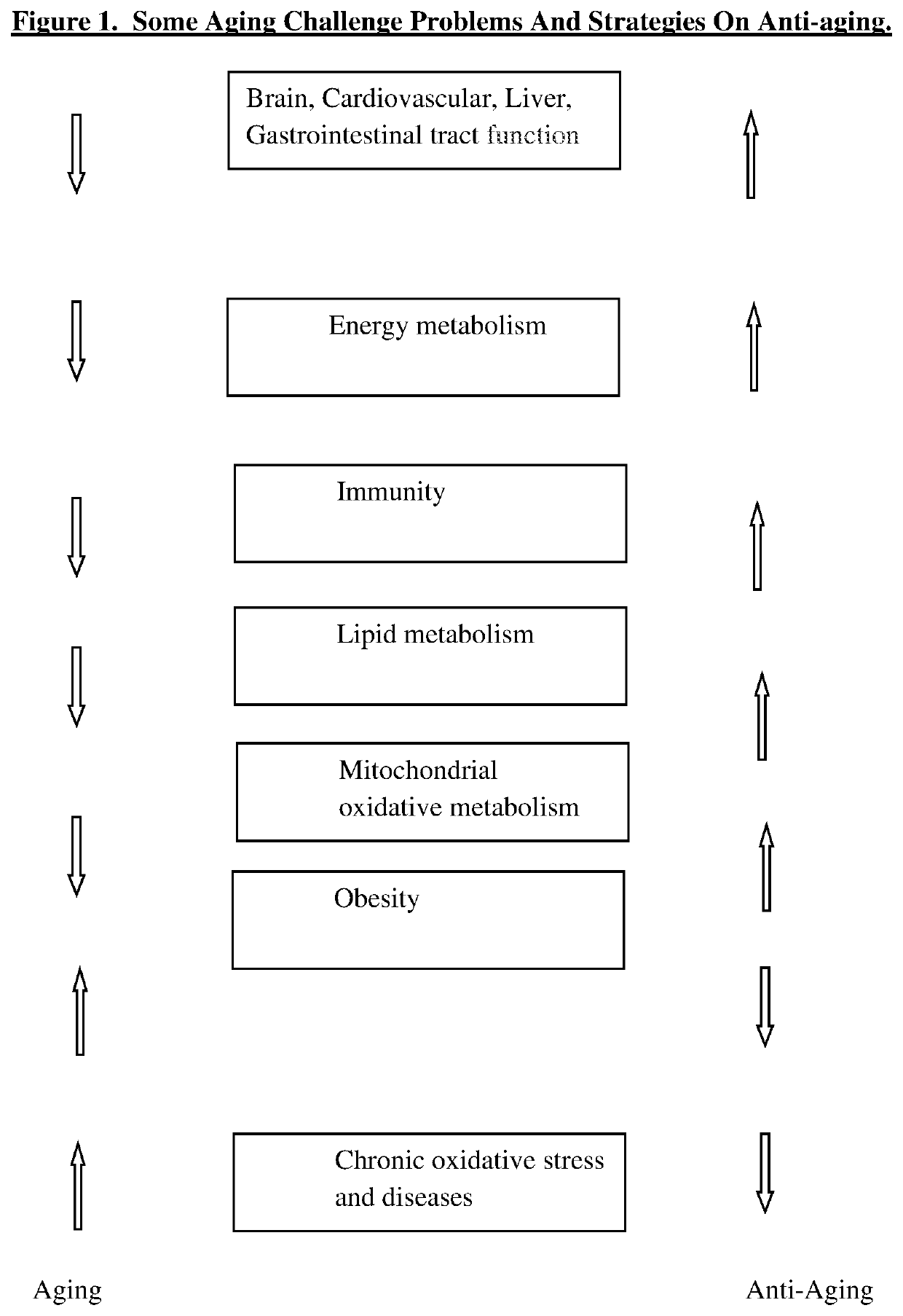 Nutraceuticals supplement composition for regulating metabolism and Anti-aging