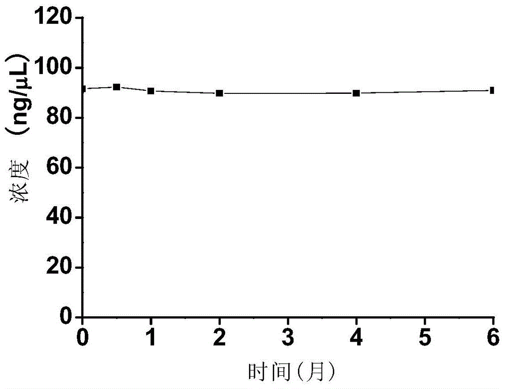 Polynucleotide, method and kit for real-time fluorescence quantitative PCR (Polymerase Chain Reaction) detection of vibrio cholerae