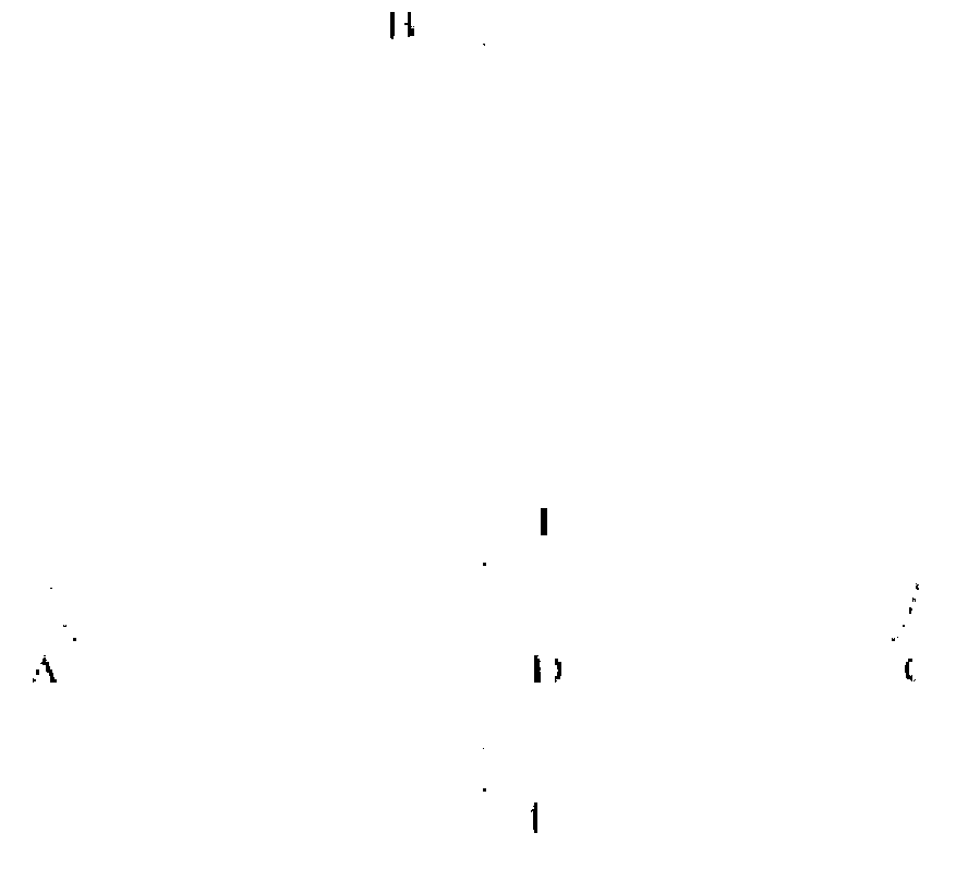 Assembly method of large-scale thin-wall steel containment vessel and auxiliary hoisting pieces