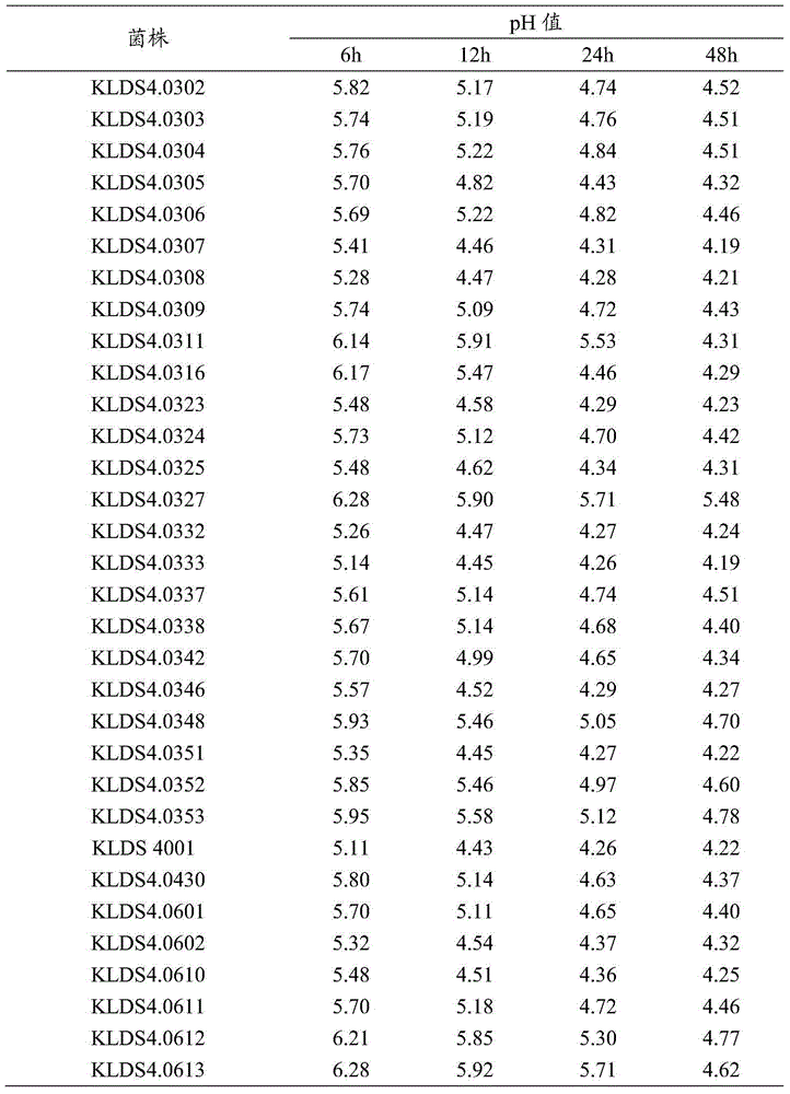 Lactococcus lactis sub-specie lactis strain capable of producing high-yield lactic acid and application thereof