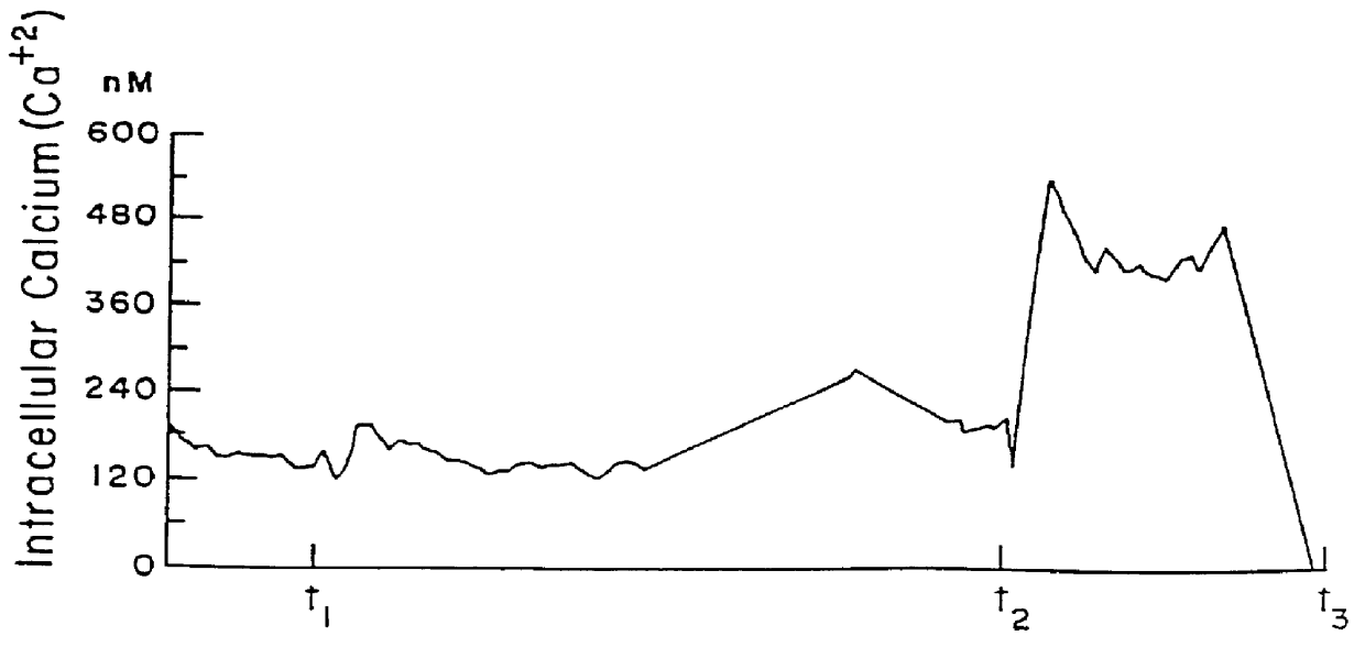 X-ray contrast medium and method for protecting against harmful effects thereof