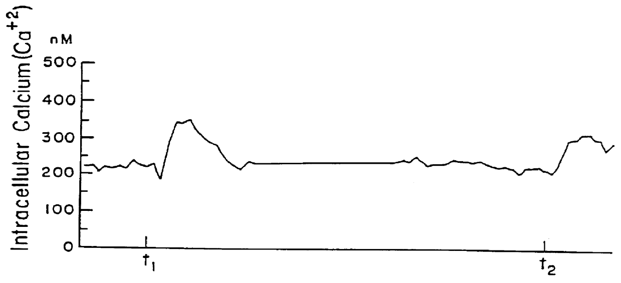 X-ray contrast medium and method for protecting against harmful effects thereof