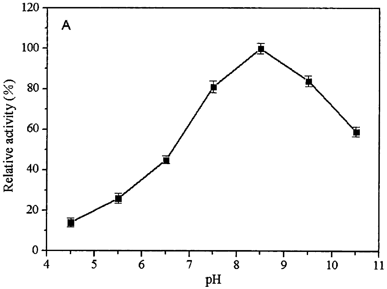 Construction method for recombinant strain producing L-glutamic oxidase and applications of the recombinant strain