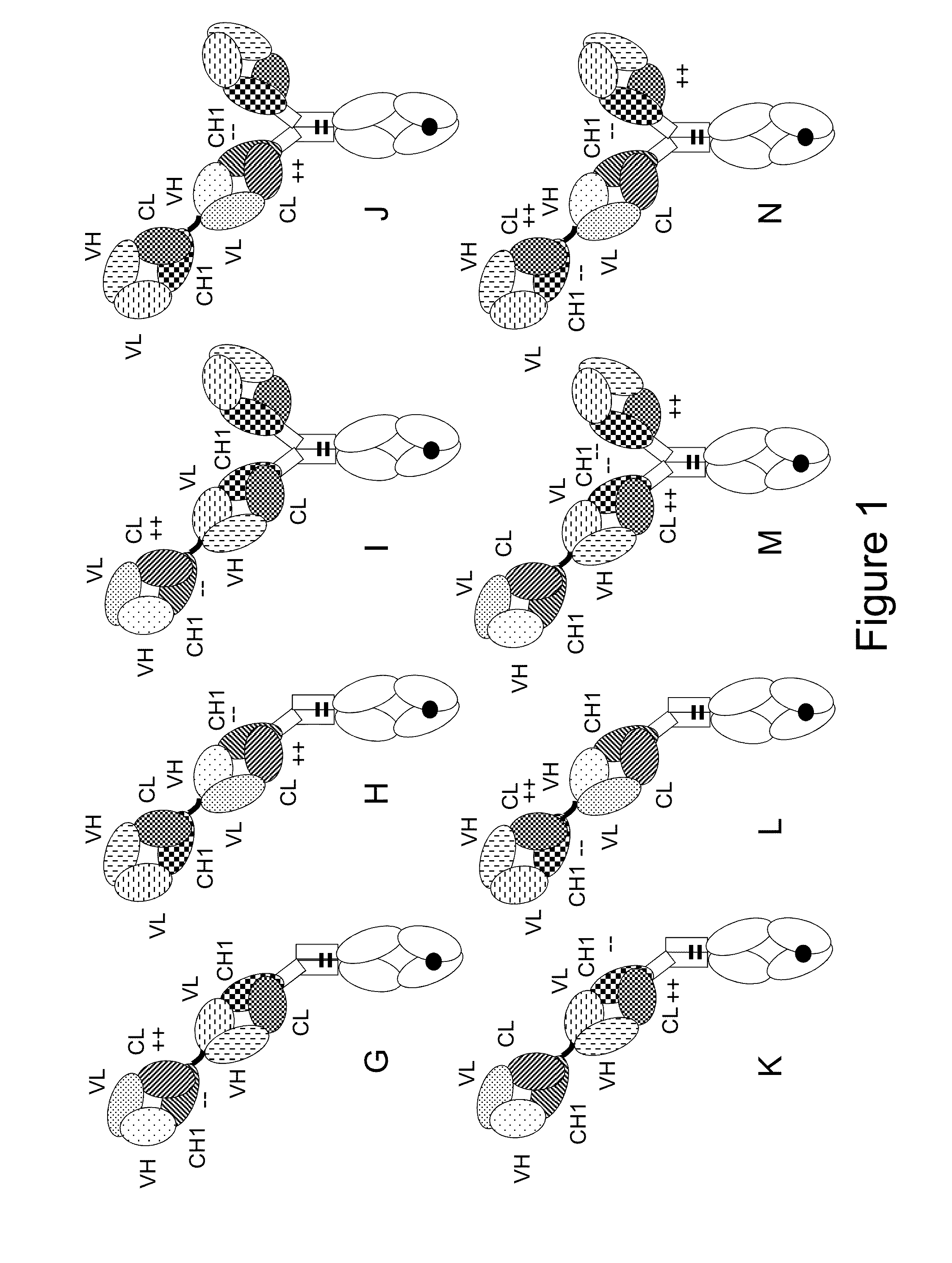 Bispecific t cell activating antigen binding molecules