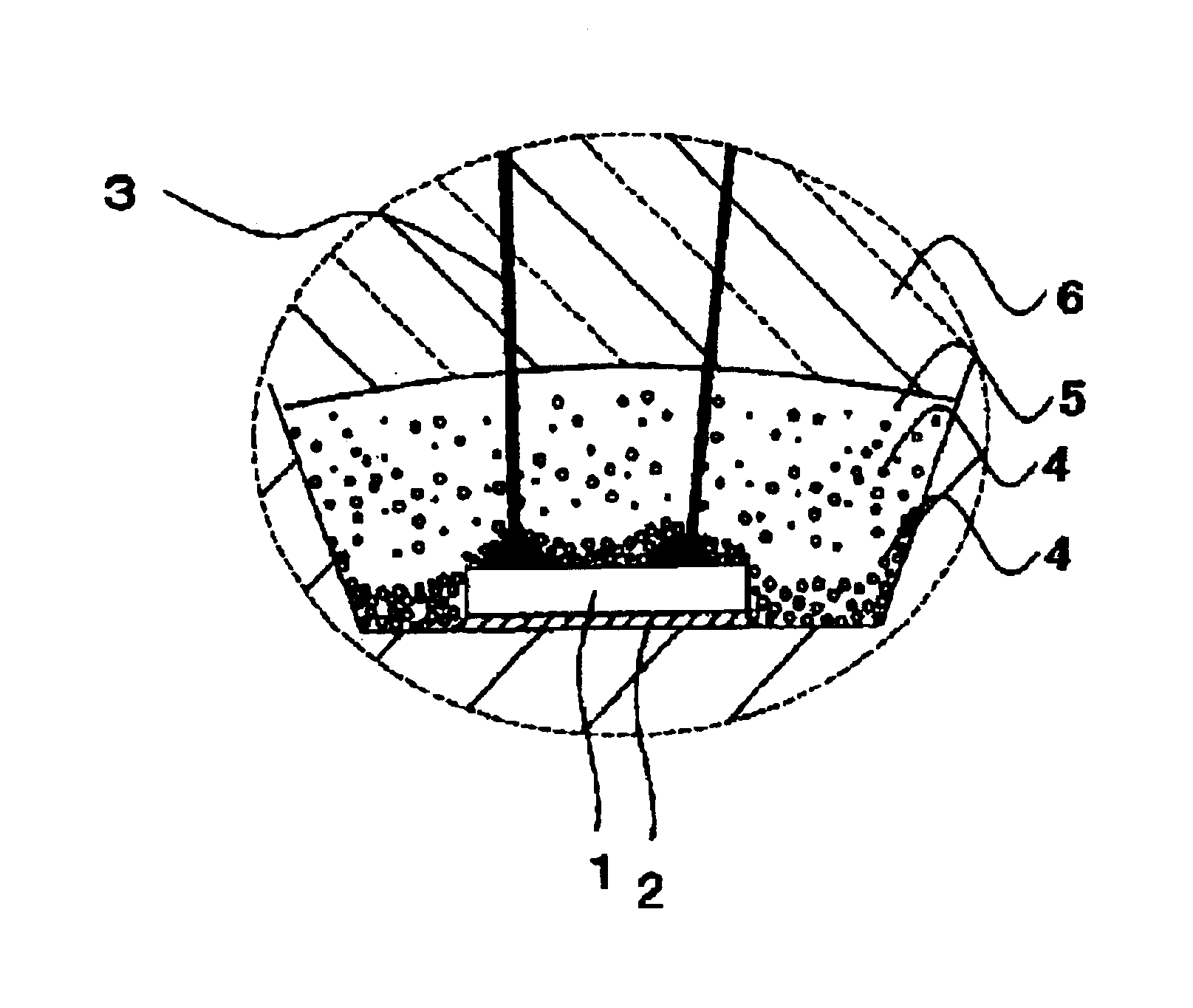 Light emitting apparatus provided with fluorescent substance and semiconductor light emitting device, and method of manufacturing the same