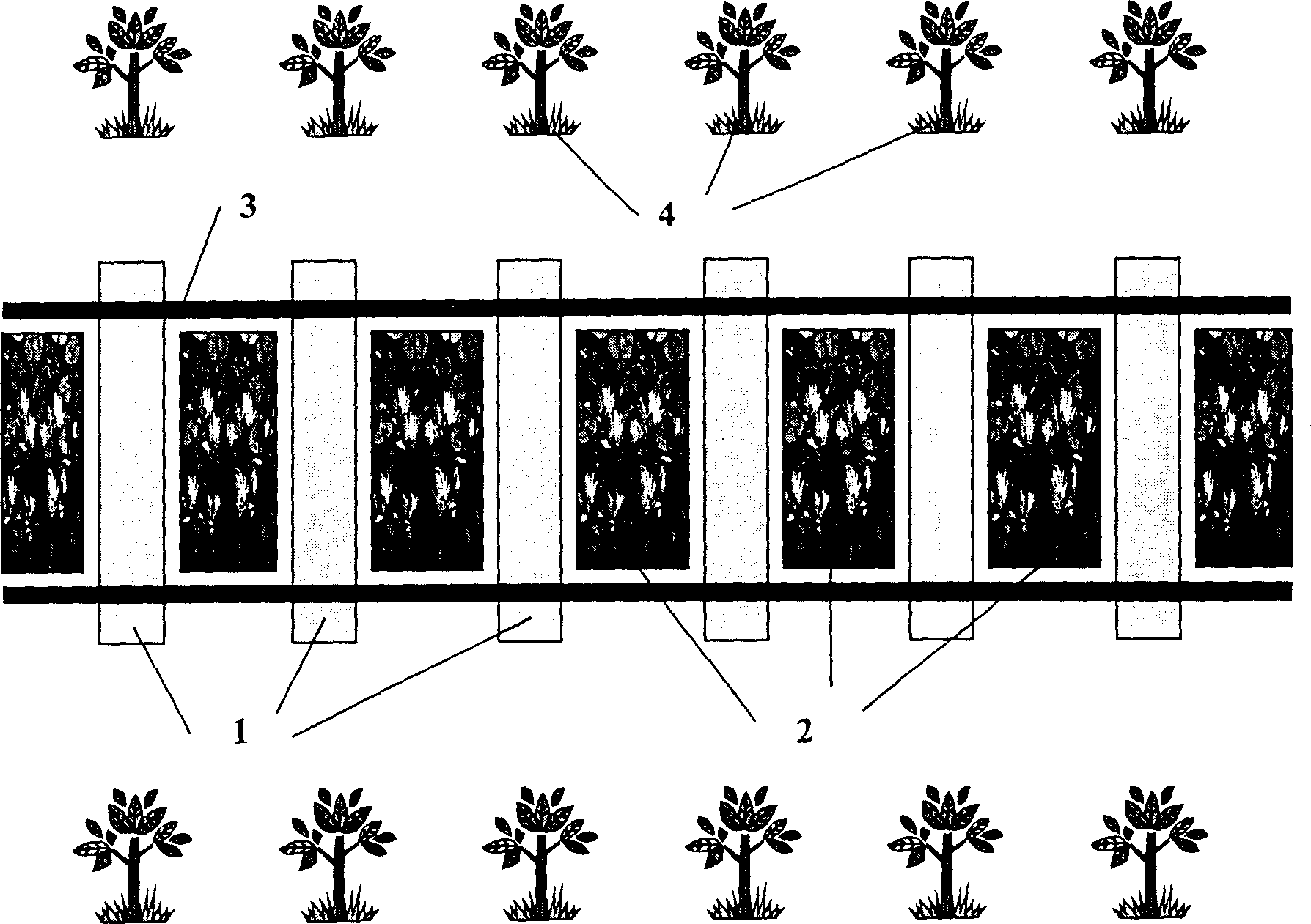 Biological treating method of railway pollution