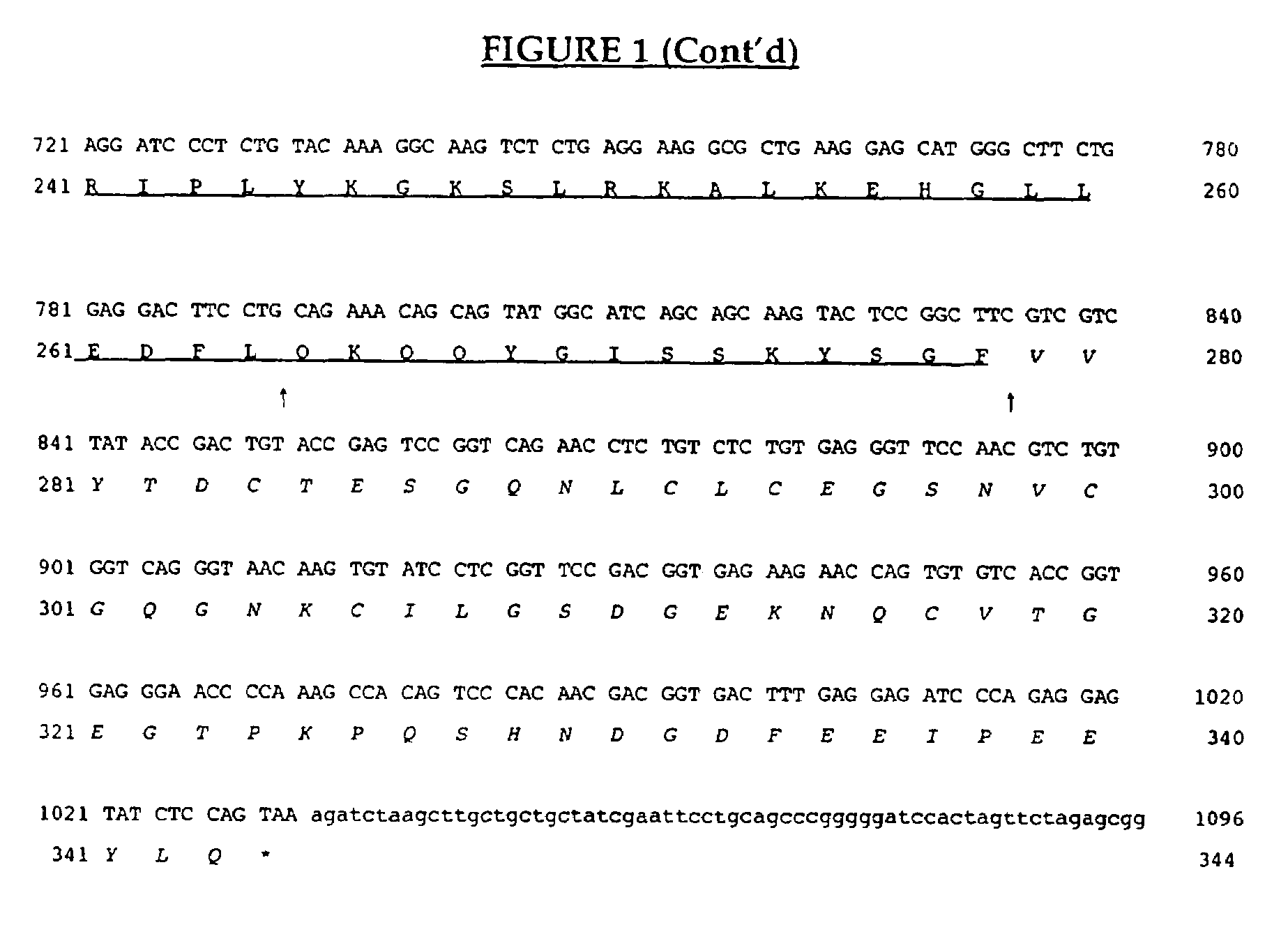 Method for producing and cleaving a fusion proteins with an n-terminal chymosin pro-peptide