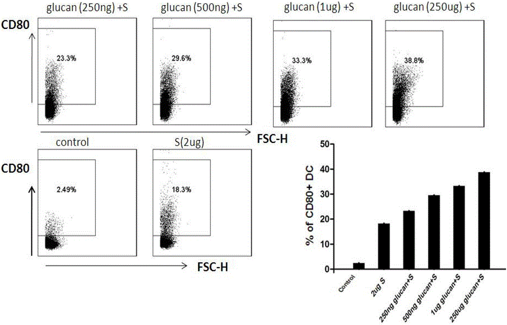 Application of yeast-derived dextran in the preparation of medicines for treating hepatitis B virus infection