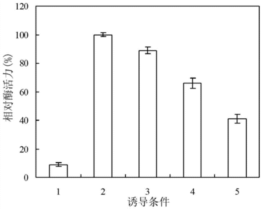 A kind of α-rhamnosidase and its preparation method and application