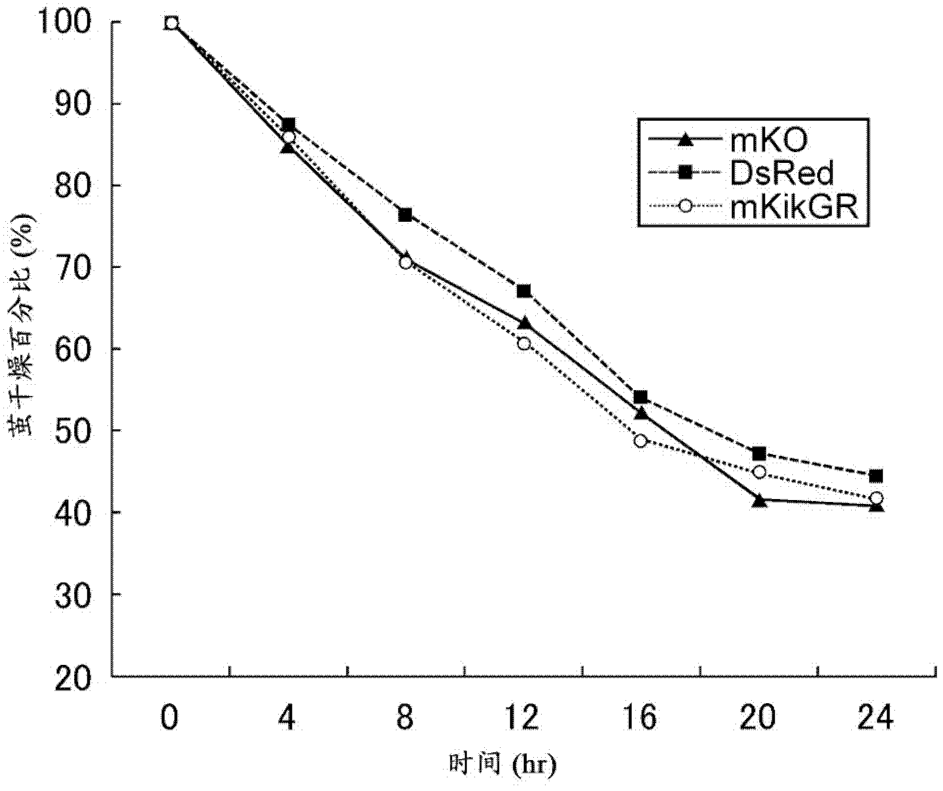 Method for spinning silk from cocoon of silkworm expressing foreign gene, and product produced by employing the method