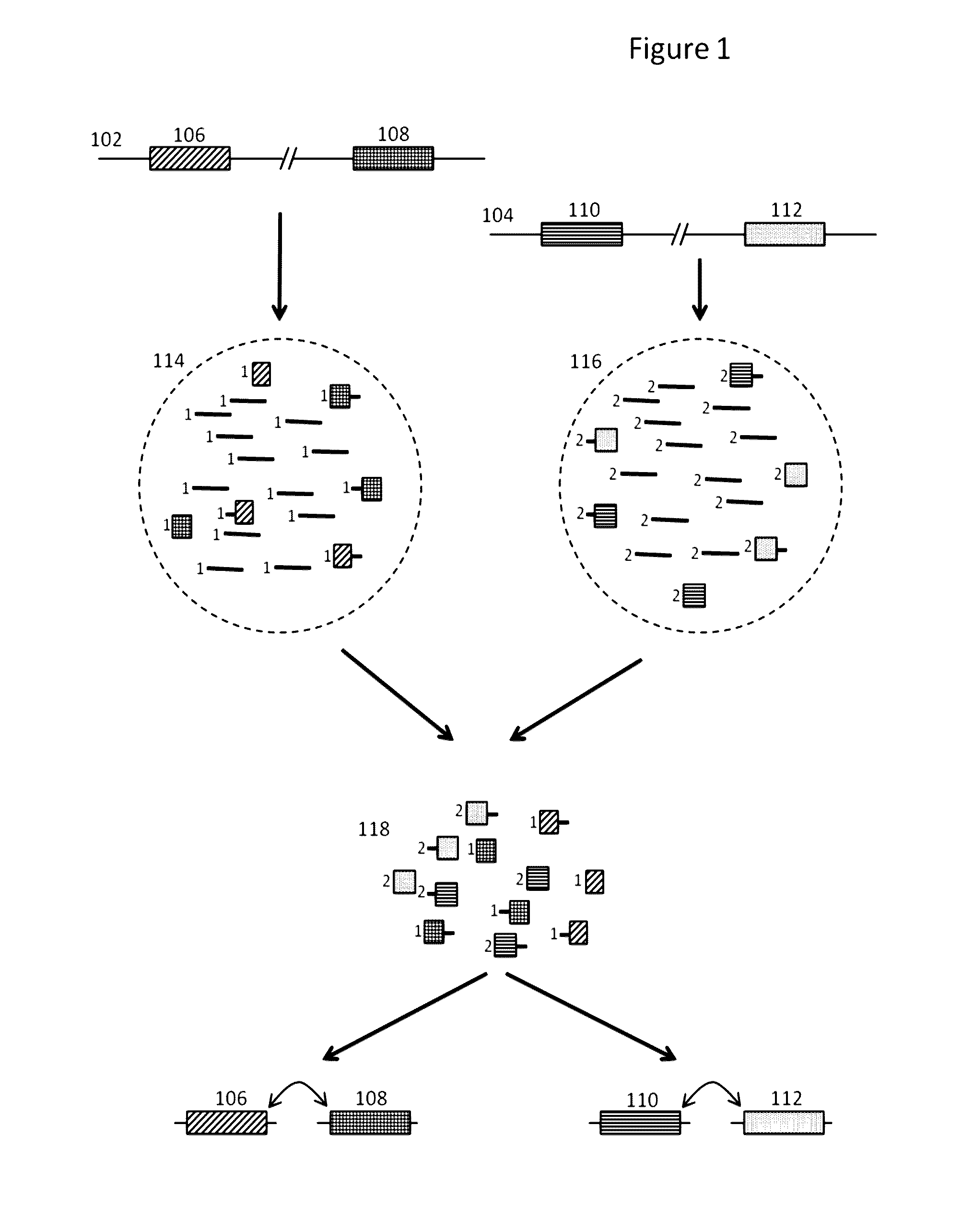 Methods and compositions for targeted nucleic acid sequencing