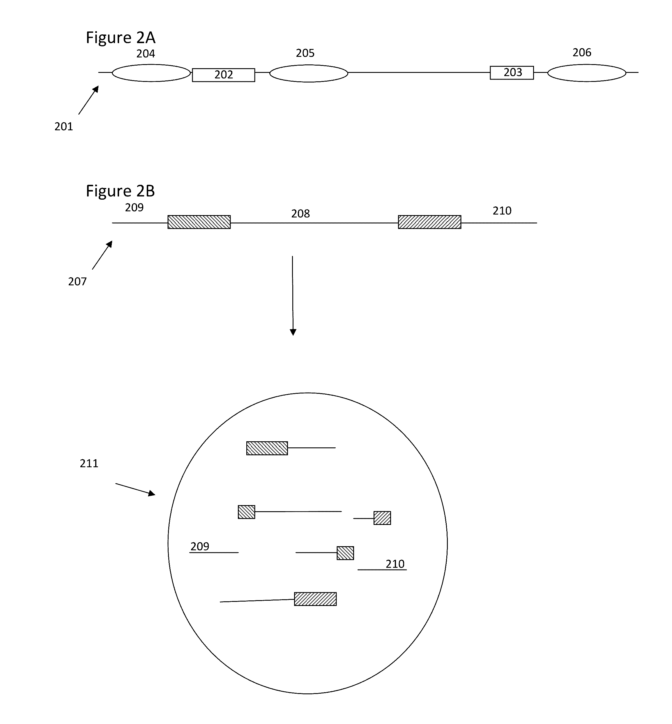 Methods and compositions for targeted nucleic acid sequencing