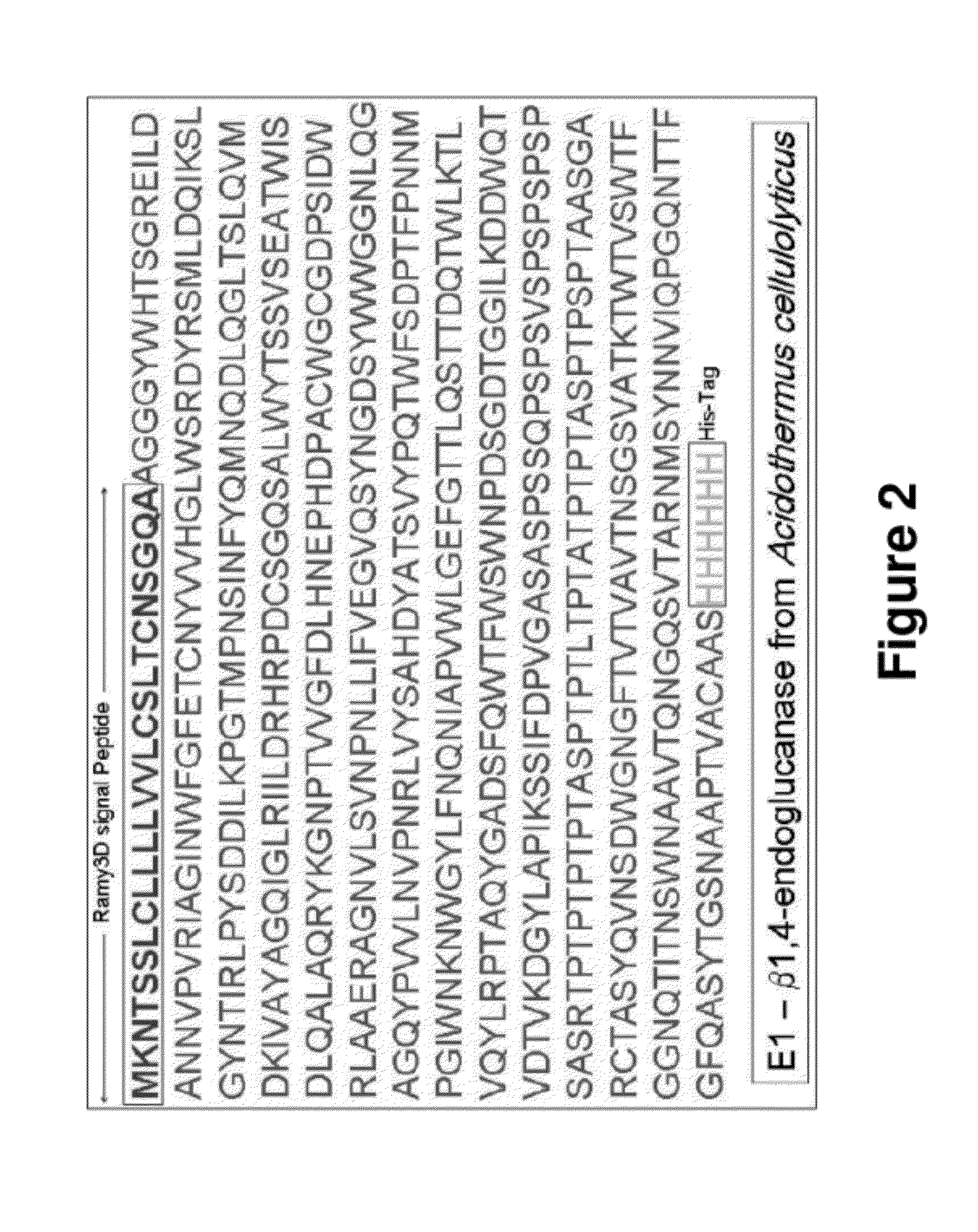 Plant-Based Production of Heterologous Proteins