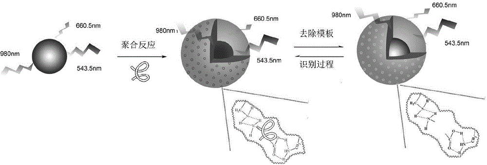 Sensing material based on up-conversion nanoparticle and preparation method of sensing material